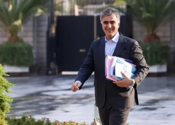 خبر مهم فرزین از نرخ ارز در سال آینده